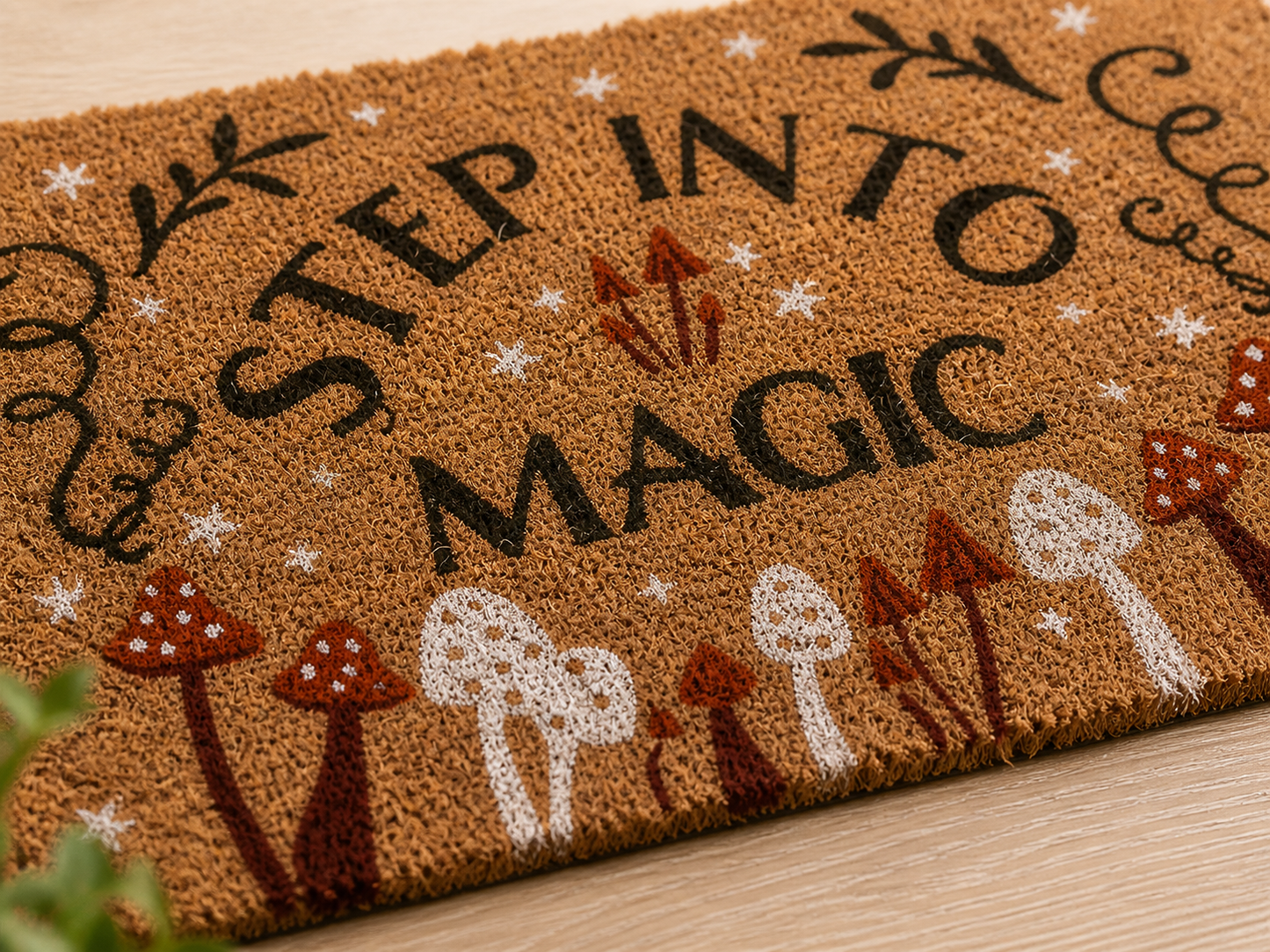 Step Into Magic Door Mat