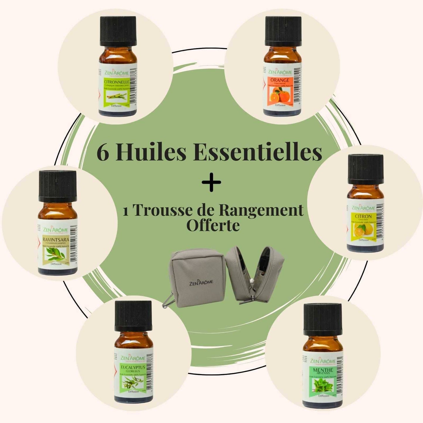 6 Essential Oils + 1 Free Storage Kit