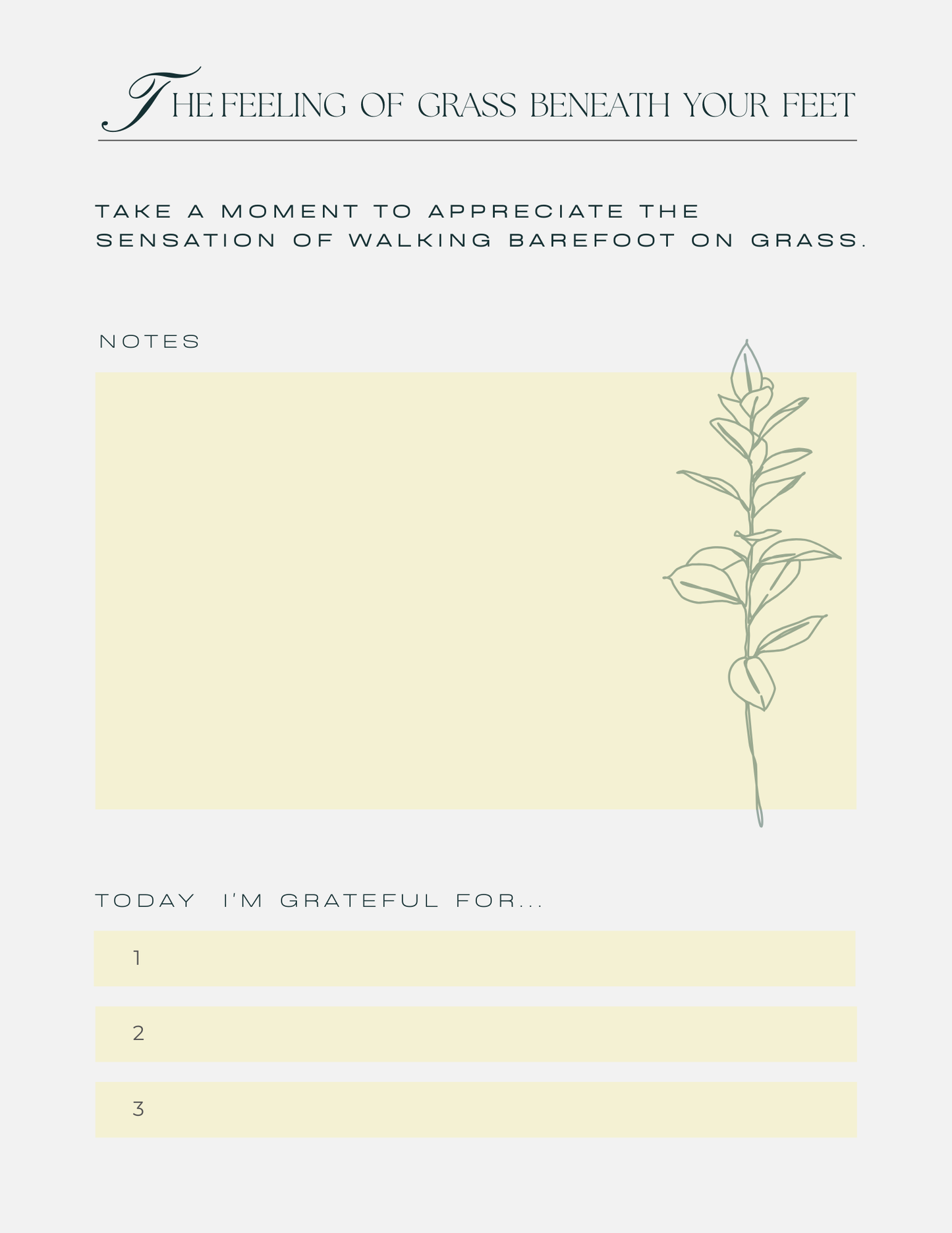 Gratitude Journal – 30 Days to Shift Your Energy & Transform Your Mindset